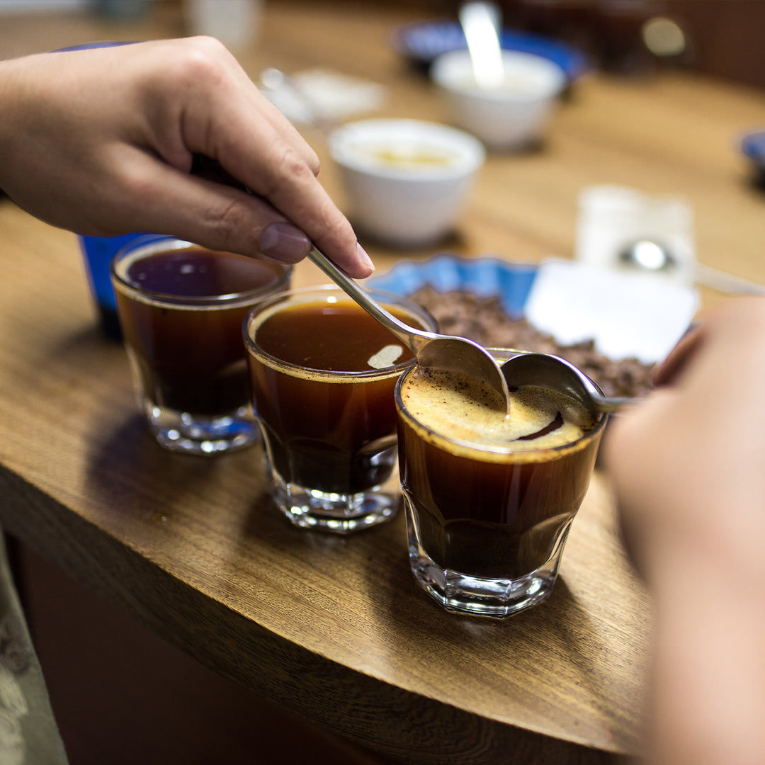 Coffee Cupping